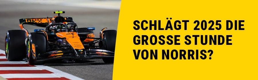 Lando Norris in Action