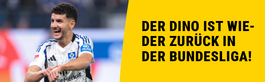 Der HSV ist zurück in der Bundesliga.