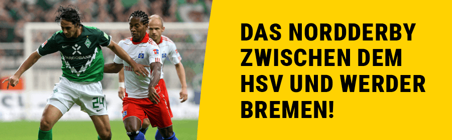 Claudio Pizarro (Werder Bremen) im Zweikampf mit Zé Roberto (HSV).